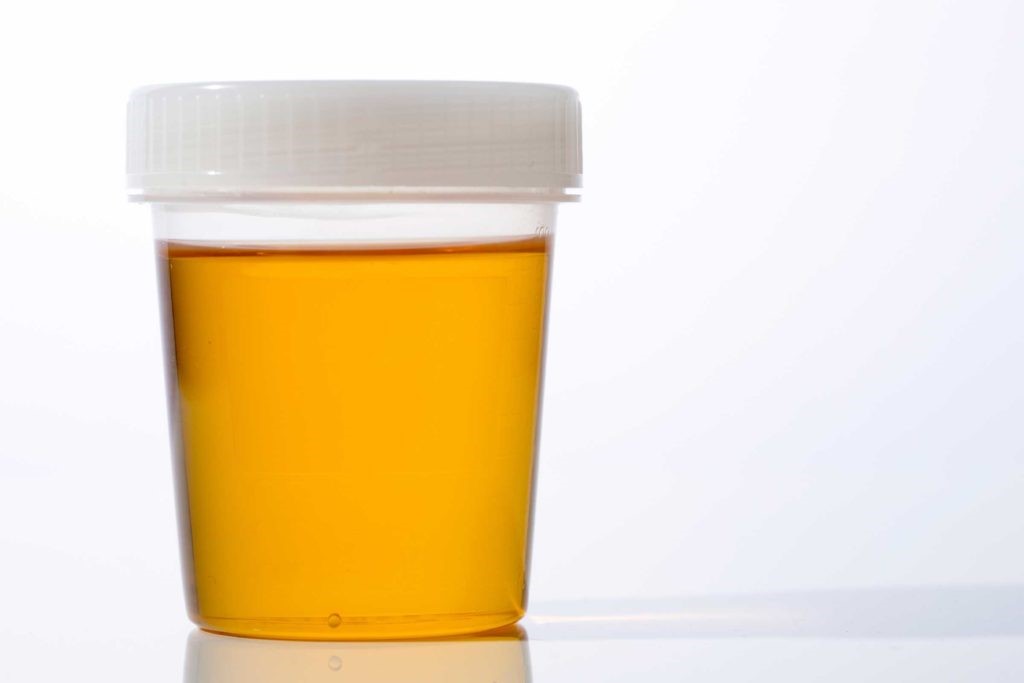 Synthetic Urine Quik Fix Trinity Square Raleigh NC
